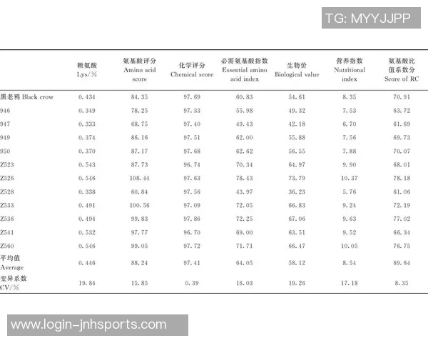 南京足球队在世界杯中的速度表现分析与点评 南京足球队在世界杯中的速度表现分析与点评